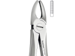 Extracting Forceps, English Pattern, Upper laterals and canines (DentaDepot)