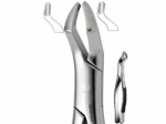 Extracting Forceps, American pattern, Upper molars, right