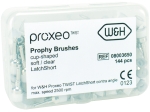Prophy brush cup-shaped/transp. 144db.